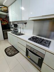 Oasis @ Elias (D18), Condominium #564616981